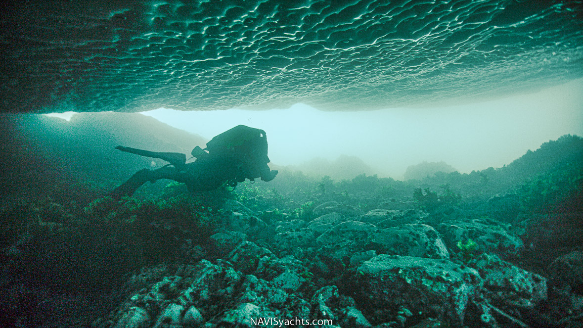 Newfoundland Life in Icy Water - stories from the ocean