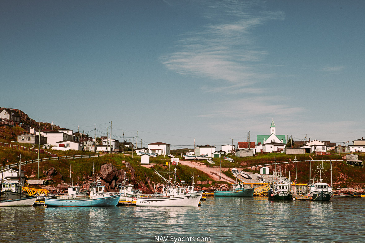 Newfoundland Life in Icy Water - stories from the ocean