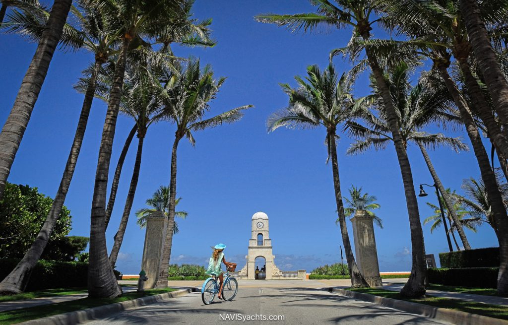 Palm Beach Icon